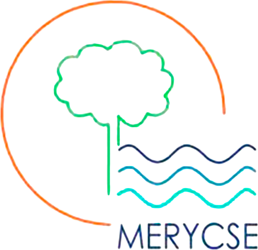 logo-merysce