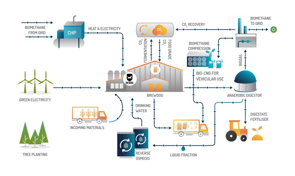Infographic-HPBS-BREWDOG-collaboration-process